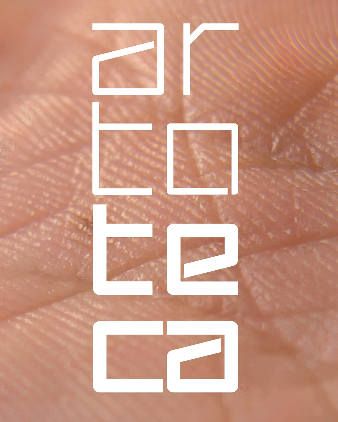 ARTOTECA